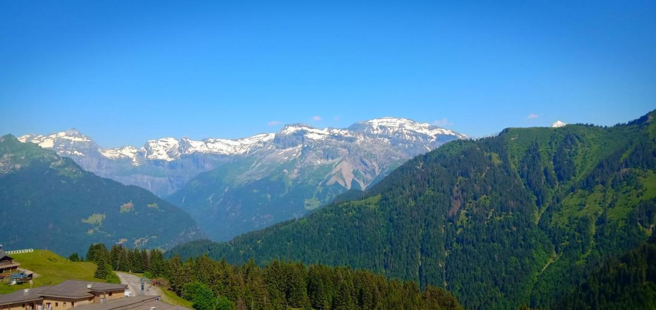 Appartement Au Pied Des Pistes サモエンヌ エクステリア 写真